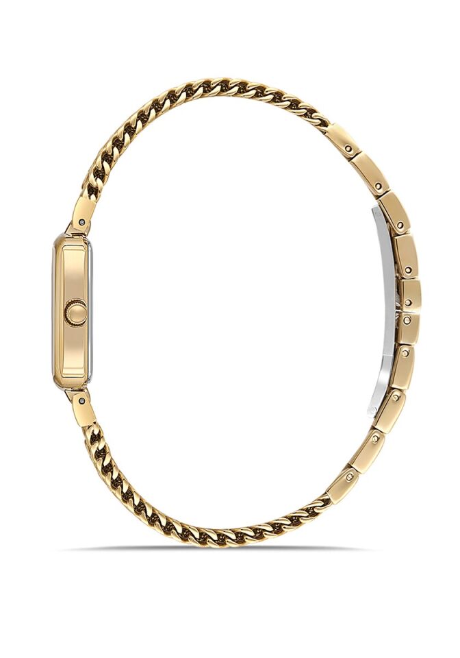 Momentus Women's Shiny SS397G-14SG