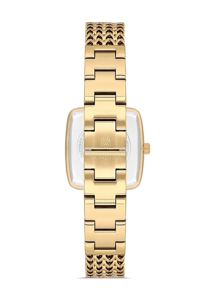 Momentus Women's Shiny SS397G-14SG
