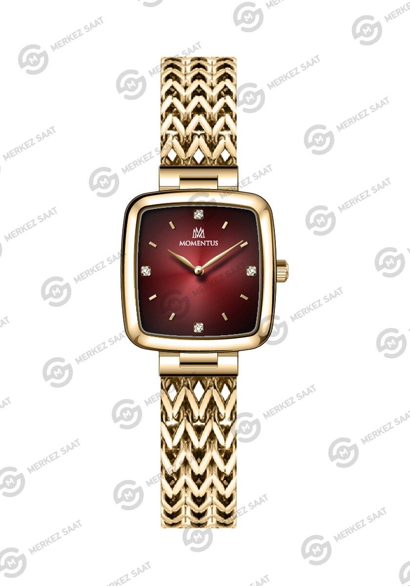 Momentus Women's Shiny SS397G-14SG