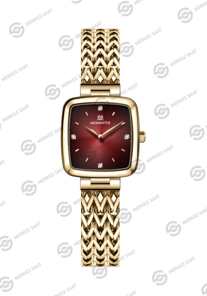 Momentus Women's Shiny SS397G-14SG