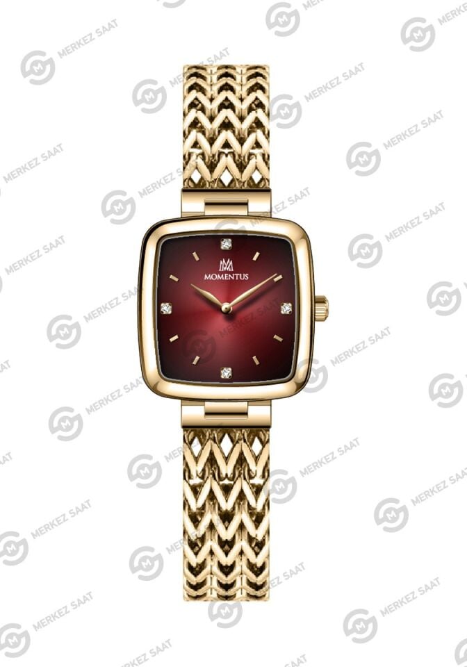 Momentus Women's Shiny SS397G-14SG