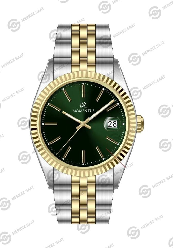 Momentus Men's Crown Master CR251T-15SG