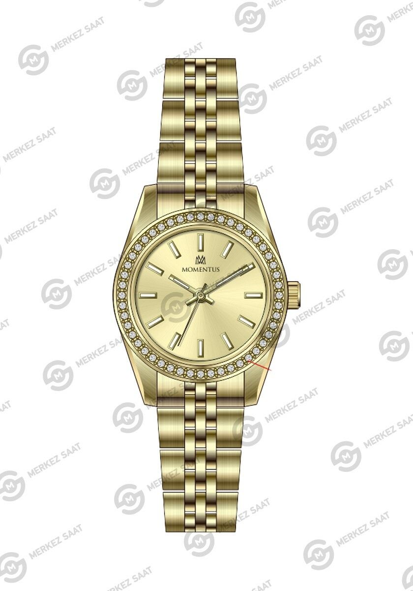 Momentus Women's Shiny SW262G-08SG