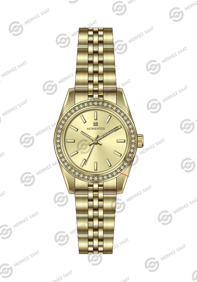 Momentus Women's Shiny SW262G-08SG