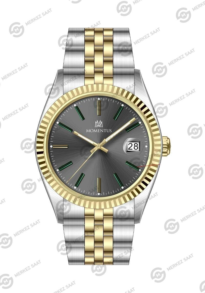 Momentus Men's Crown Master CR251T-03SG