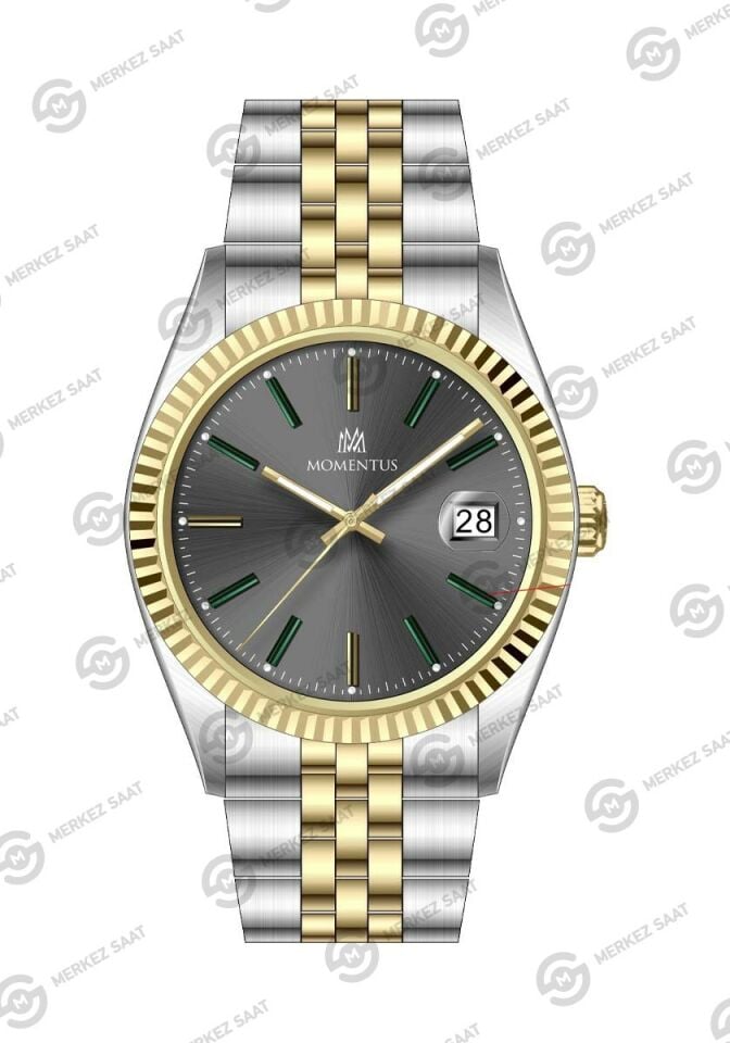 Momentus Men's Crown Master CR251T-03SG