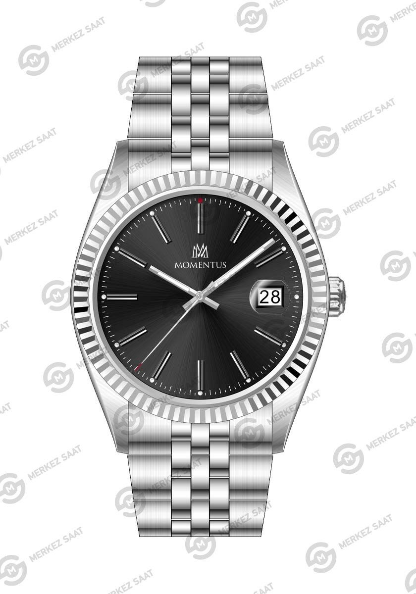 Momentus Men's Crown Master CR251S-04SS