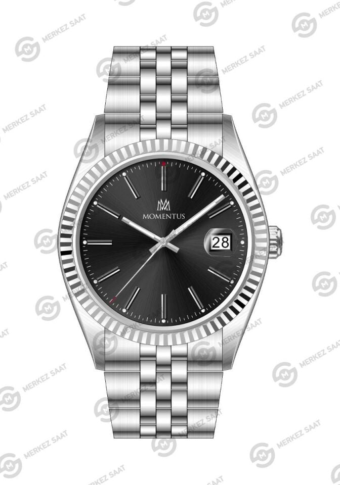 Momentus Men's Crown Master CR251S-04SS