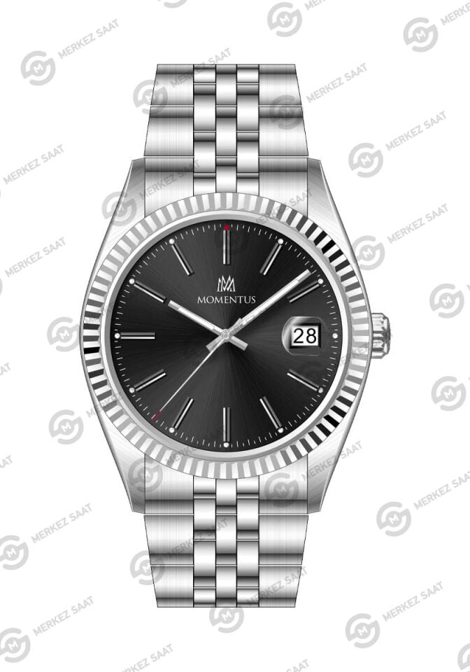 Momentus Men's Crown Master CR251S-04SS