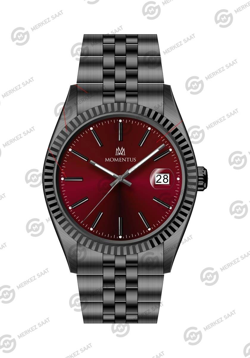 Momentus Men's Crown Master CR251N-14SN