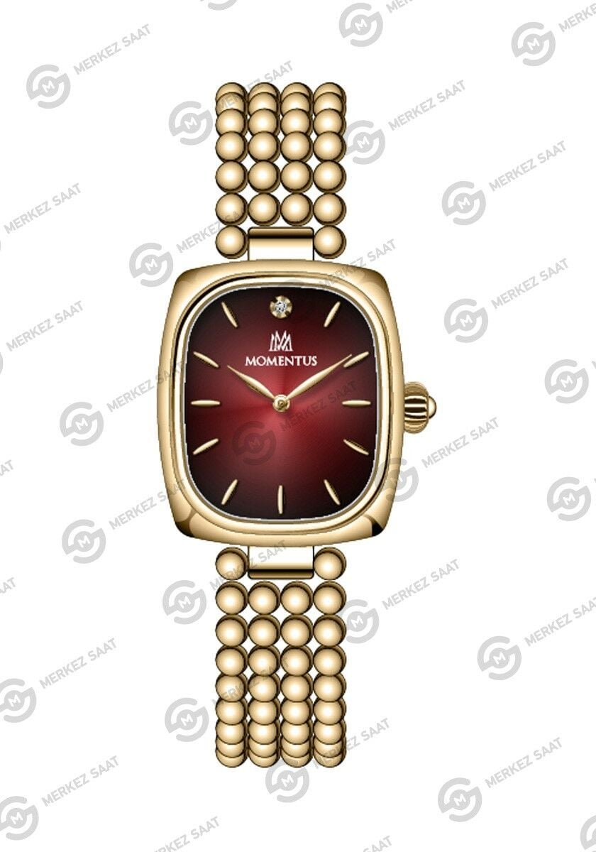 Momentus Women's Classy CW314G-14SG