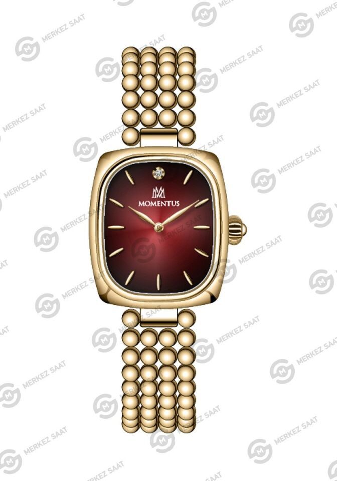 Momentus Women's Classy CW314G-14SG