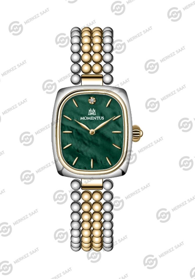 Momentus Women's Classy CW314T-15SG