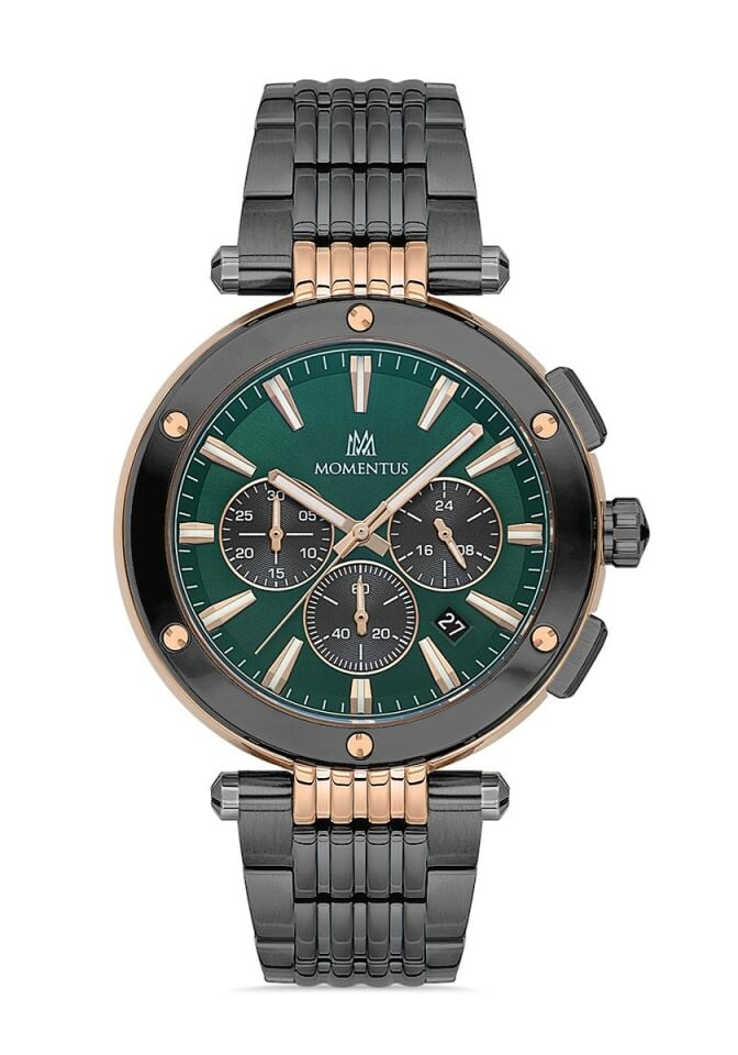 Momentus Men's Time Master TM263T-15SR