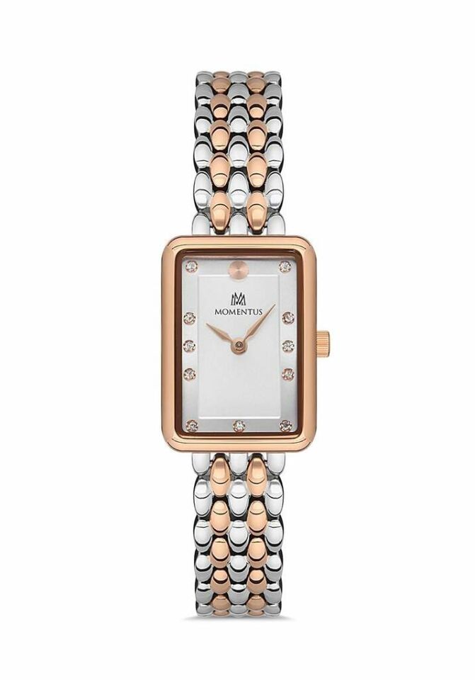 Momentus SW273T-02SR