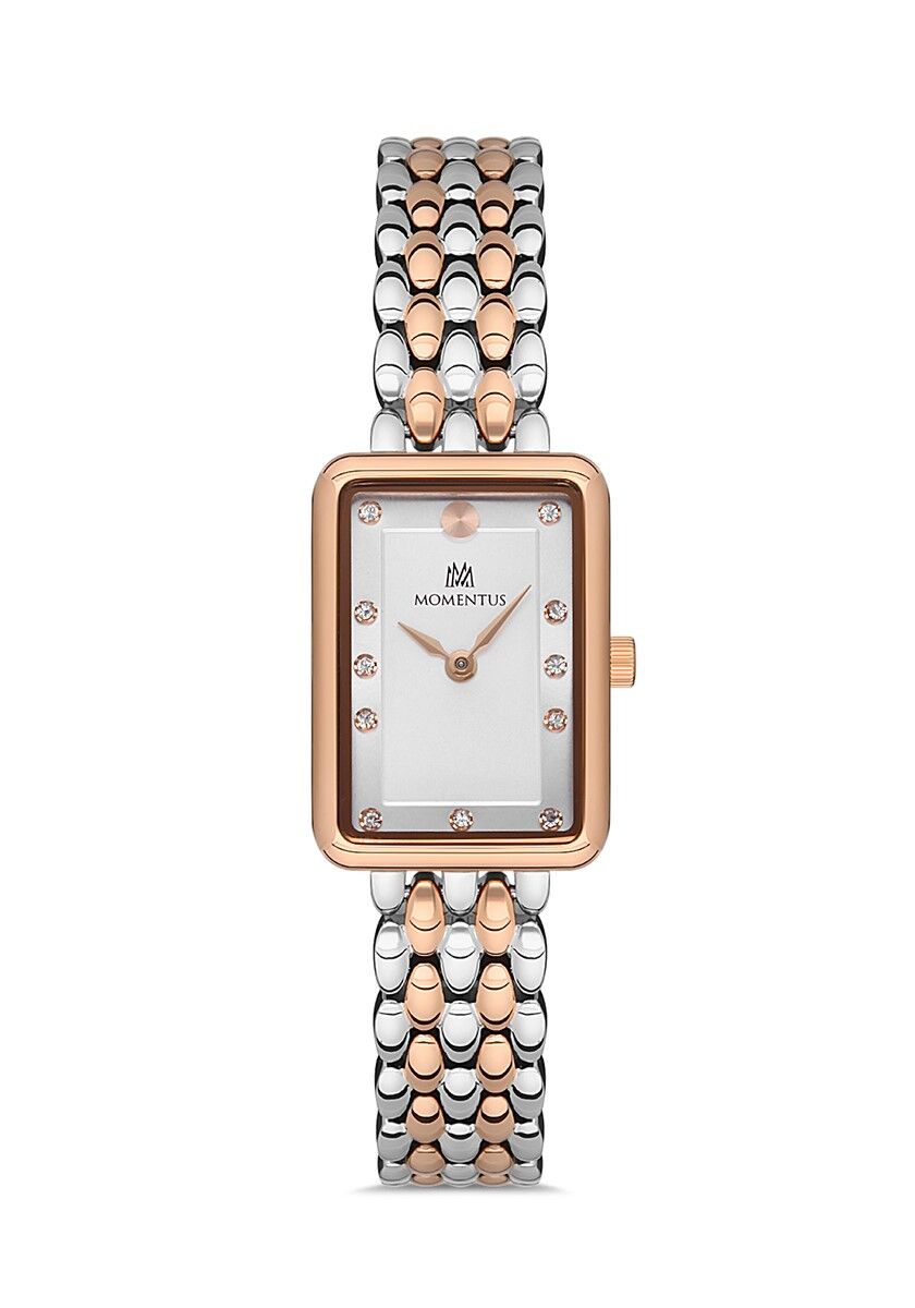 Momentus SW273T-02SR
