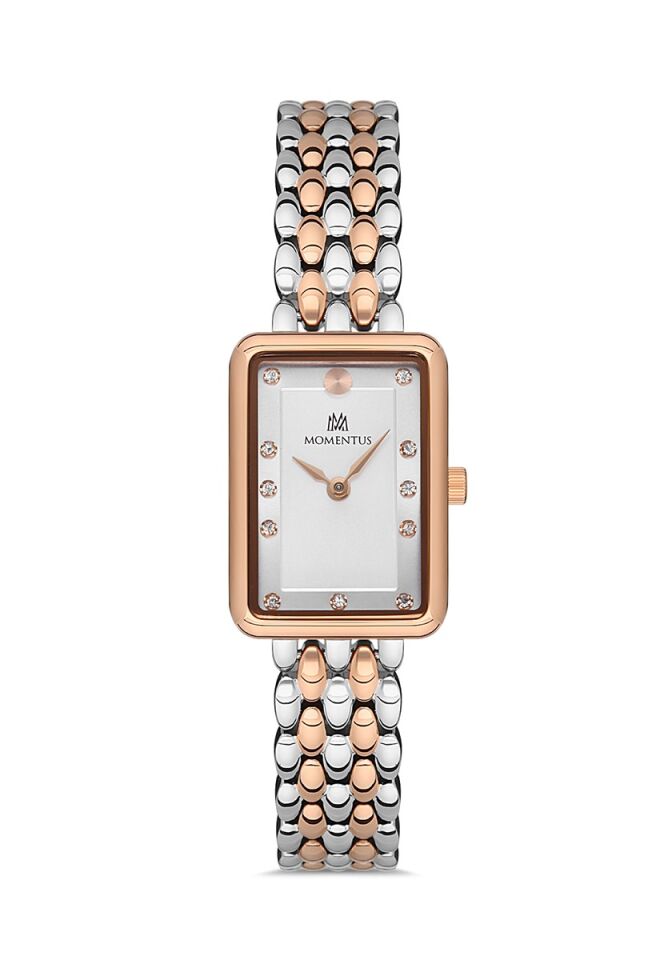 Momentus SW273T-02SR