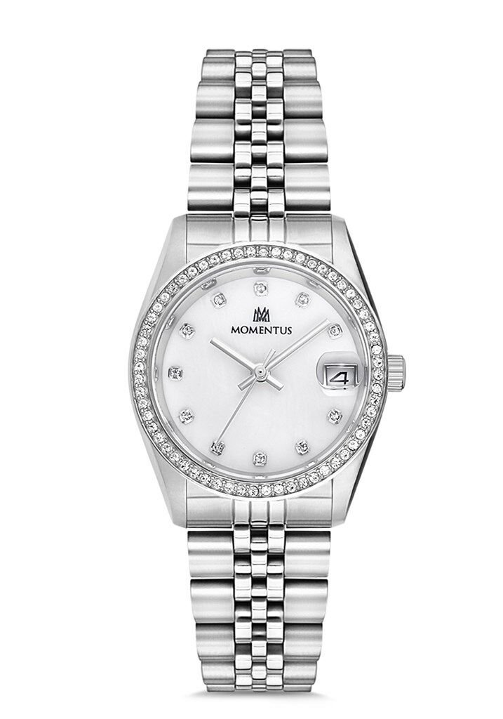 Momentus Sw131S-09Ss