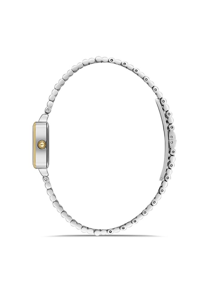 Momentus CW312T-02SG