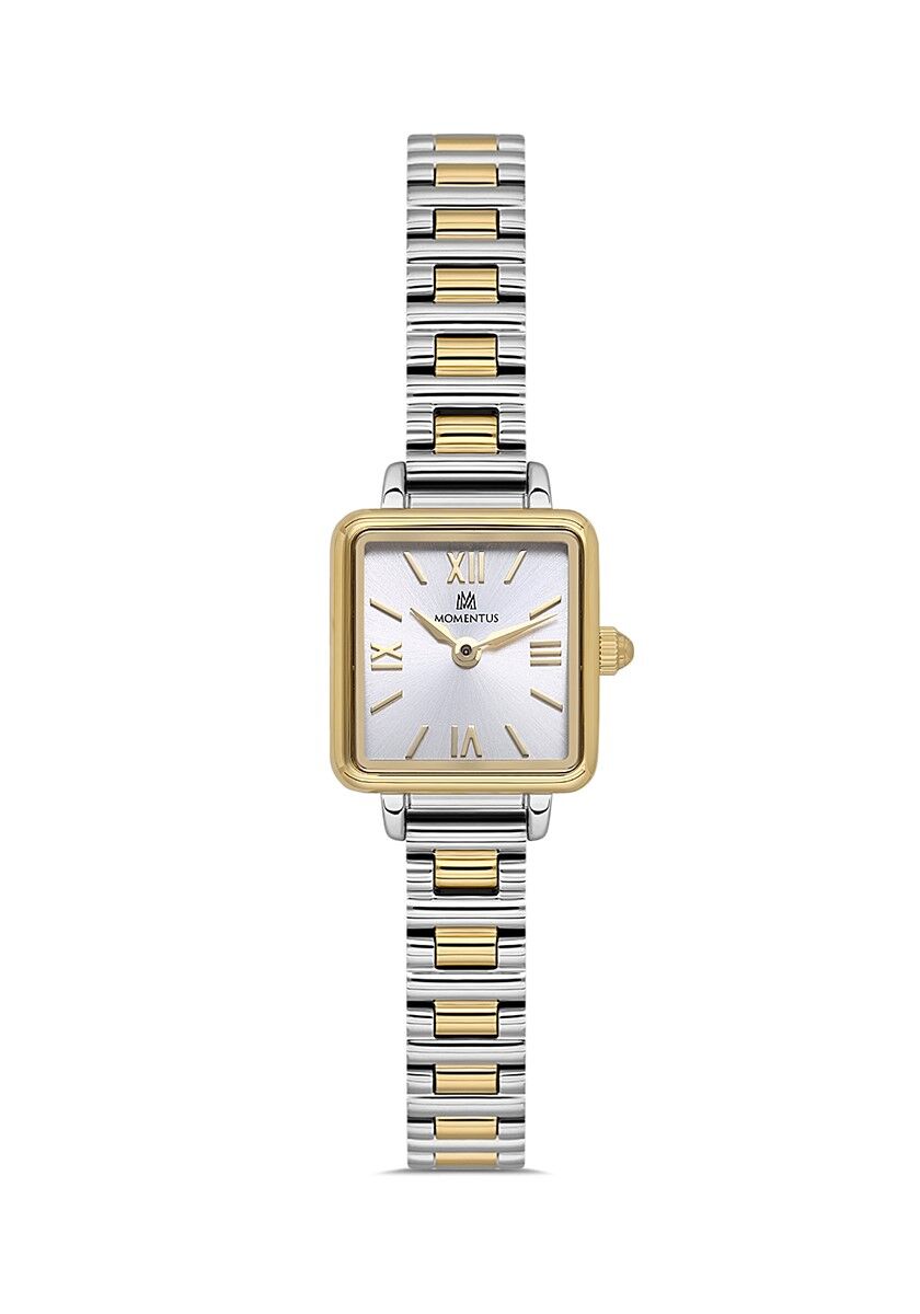 Momentus CW312T-02SG