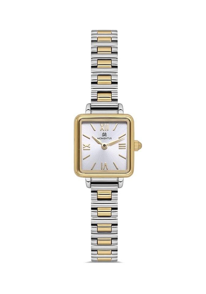 Momentus CW312T-02SG
