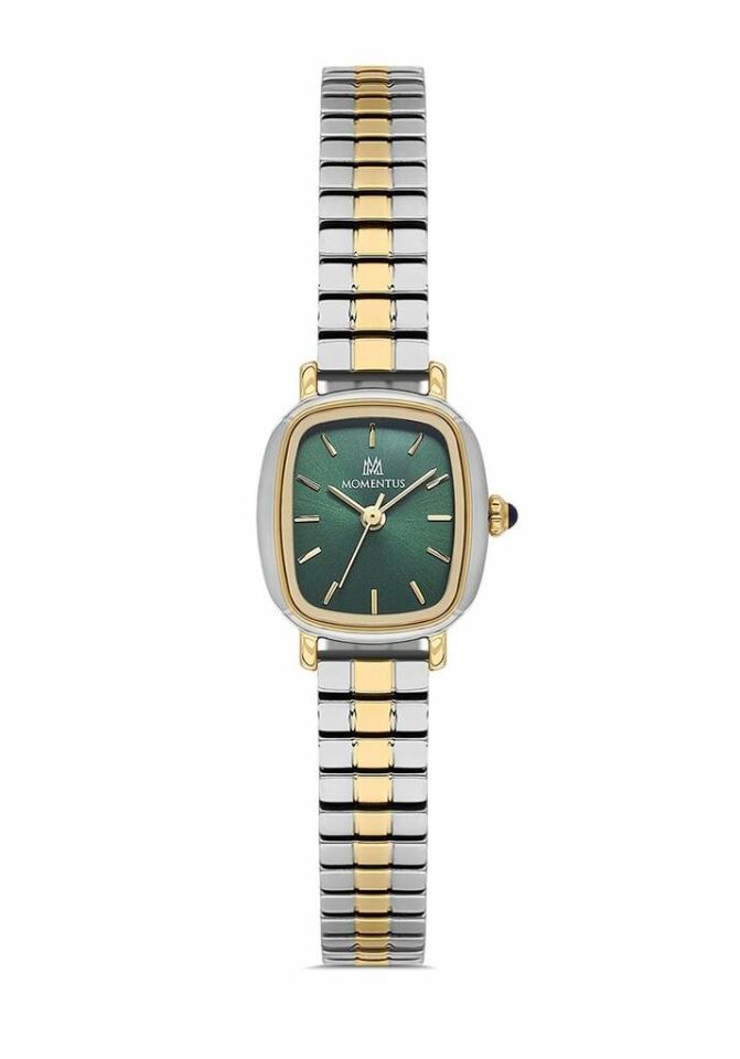 Momentus CW318T-15SG