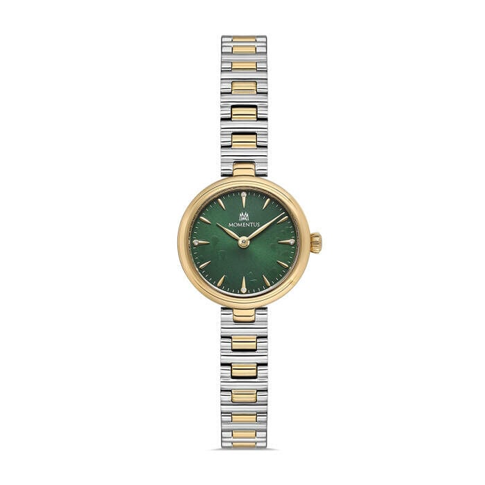 Momentus CW313T-15SG