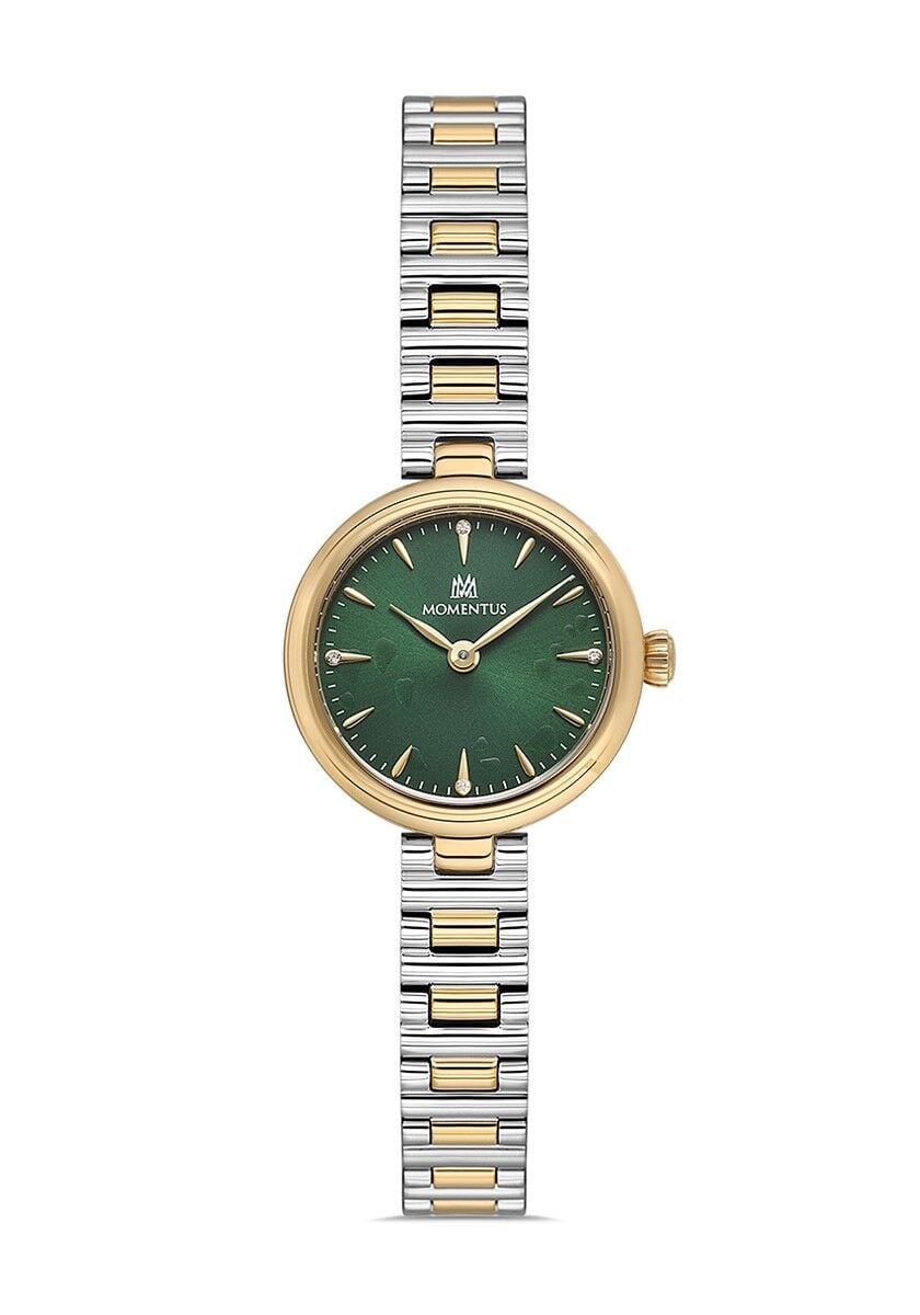 Momentus CW313T-15SG