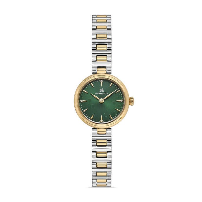 Momentus CW313T-15SG