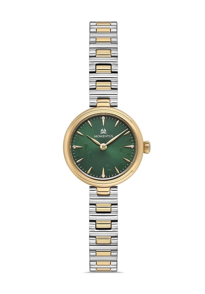 Momentus CW313T-15SG