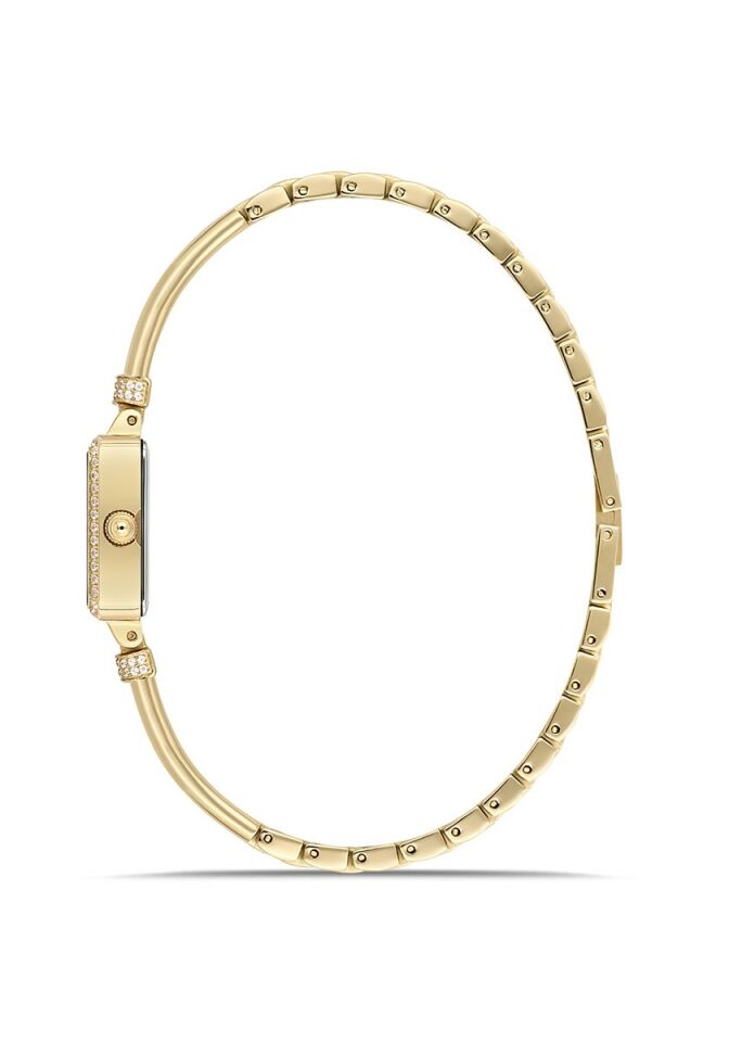 Momentus Women's Shiny SW295G-15SGS