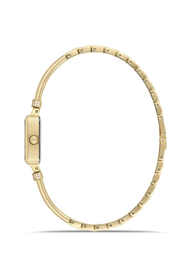 Momentus Women's Shiny SW297G-08SGS