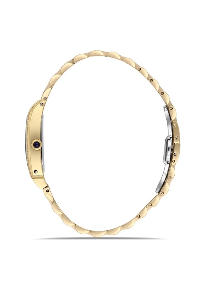 Momentus Women's Shiny Star SS365G-10SG