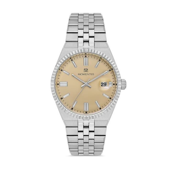 Momentus CR264S-13SS Erkek Kol Saati