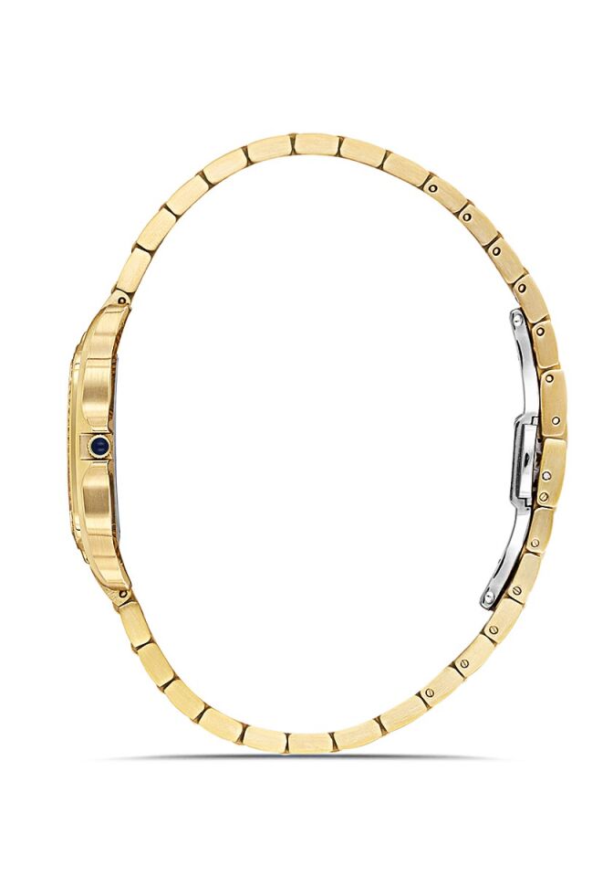 Momentus SS348G-18SG Kadın Kol Saati