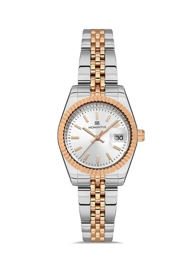 Momentus CS384T-02SR