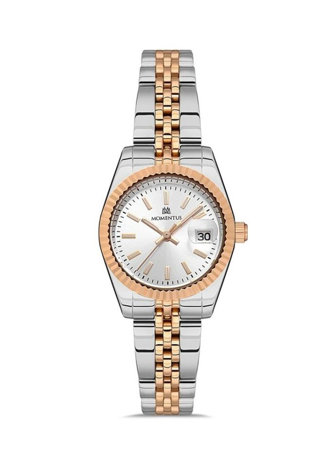 Momentus CS384T-02SR