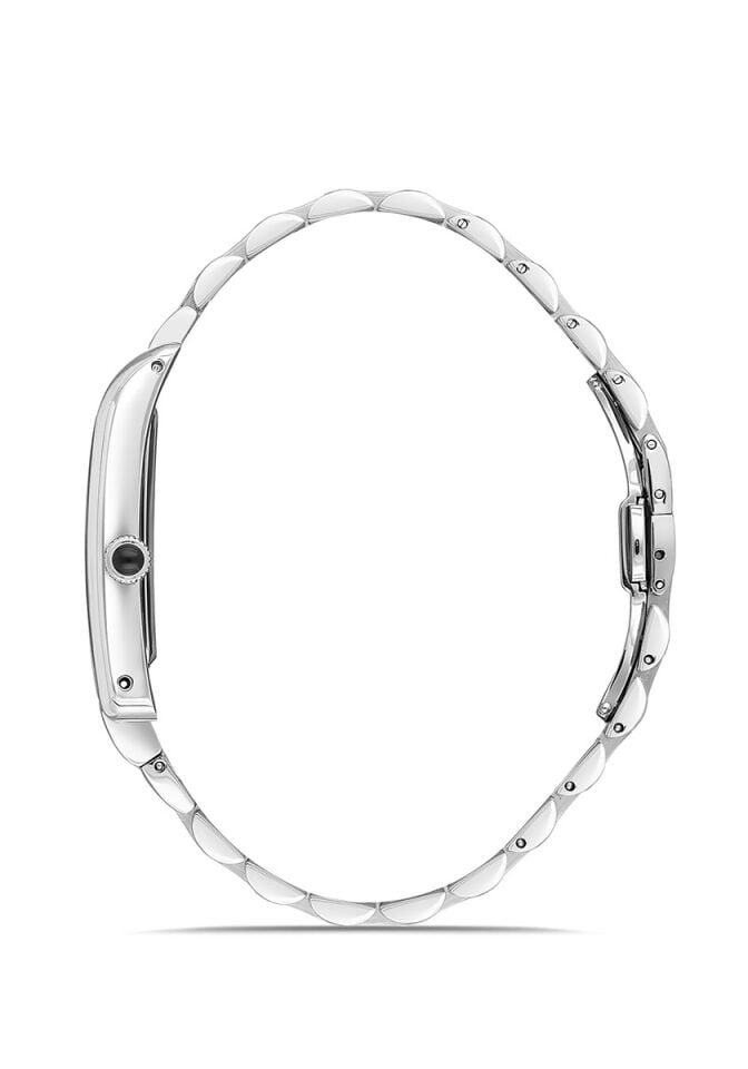 Momentus Men's Classic Master CM365S-04SS