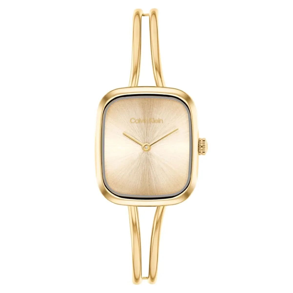 Calvin Klein Ck25100132 Kadın Kol Saati