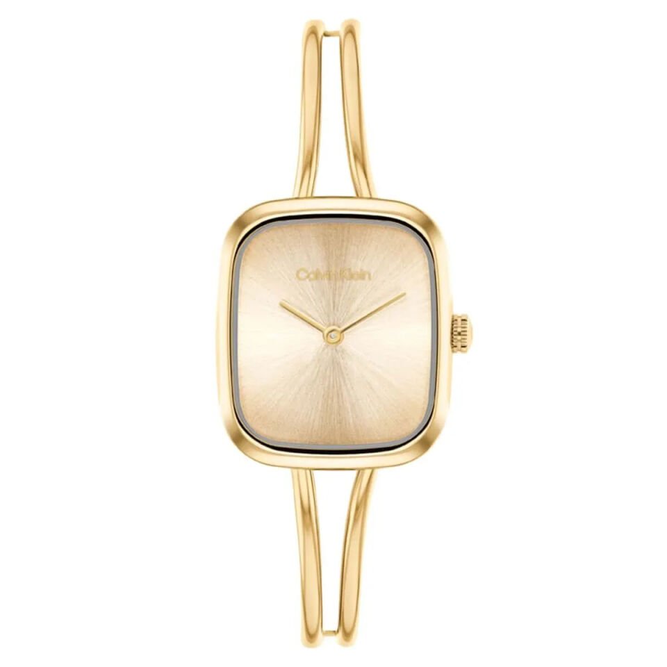 Calvin Klein Ck25100132 Kadın Kol Saati