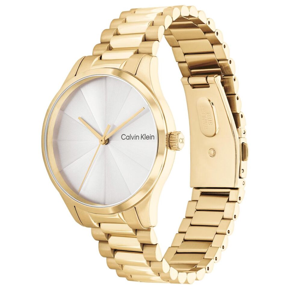 Calvin Klein CK25200232 Kadın Kol Saati