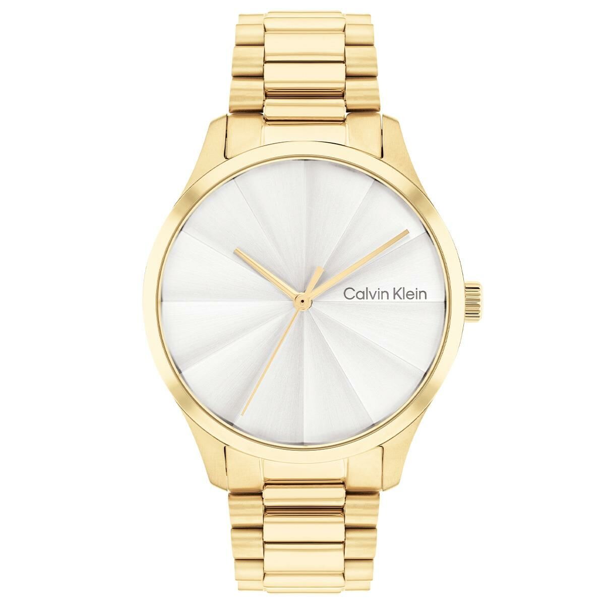 Calvin Klein CK25200232 Kadın Kol Saati