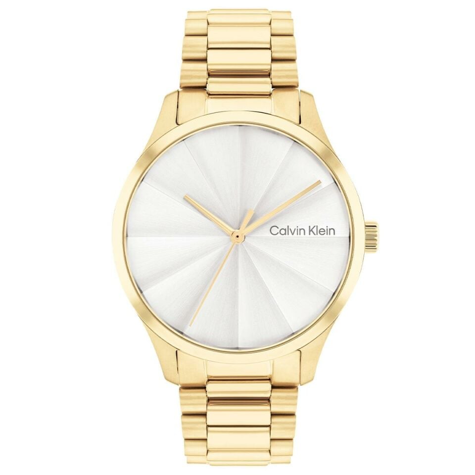 Calvin Klein CK25200232 Kadın Kol Saati