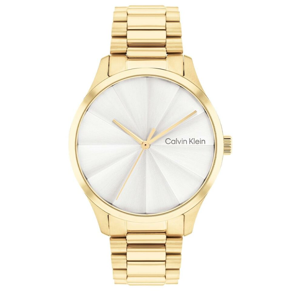 Calvin Klein CK25200232 Kadın Kol Saati