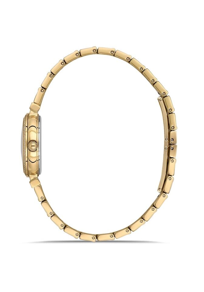 Momentus Women's Shiny SS396G-09SG