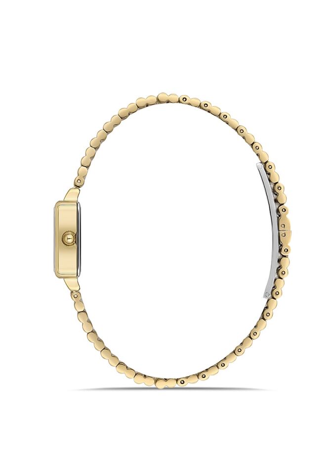 Momentus Women's Classy CW312G-08SG