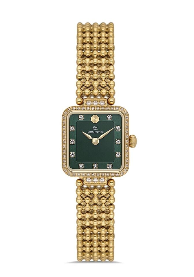 Momentus Women's Shiny SS393G-15SG