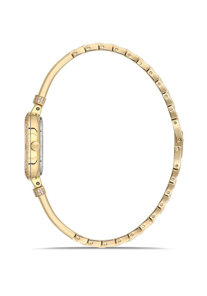 Momentus Women's Shiny SS408G-15SG