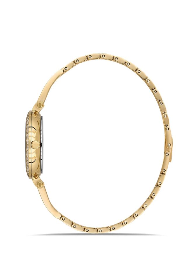 Momentus Women's Shiny SS409G-15SG