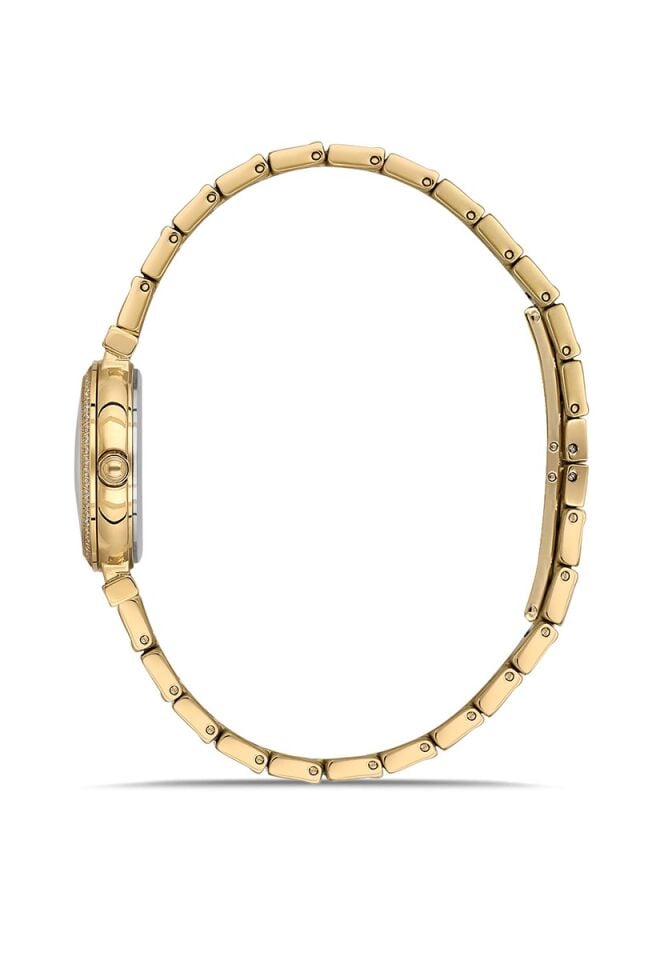 Momentus Women's Shiny SS396G-15SG